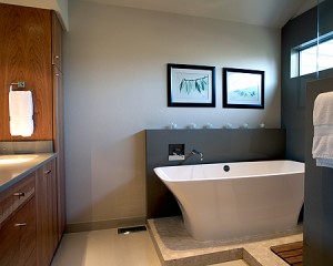 Master bathroom remodeling trends