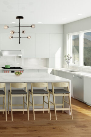 Kitchen Rendering