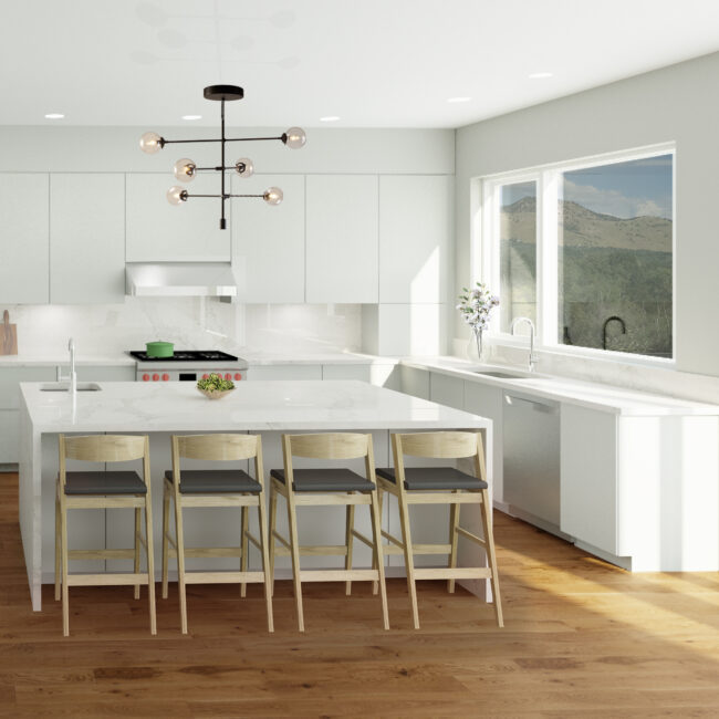 Kitchen Rendering