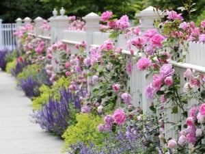 hgtv.com