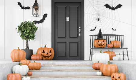 Boulder Colorado Halloween 2020
