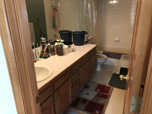 Secondary Before Image