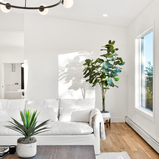 Custom Mountain Home - Living Room Details